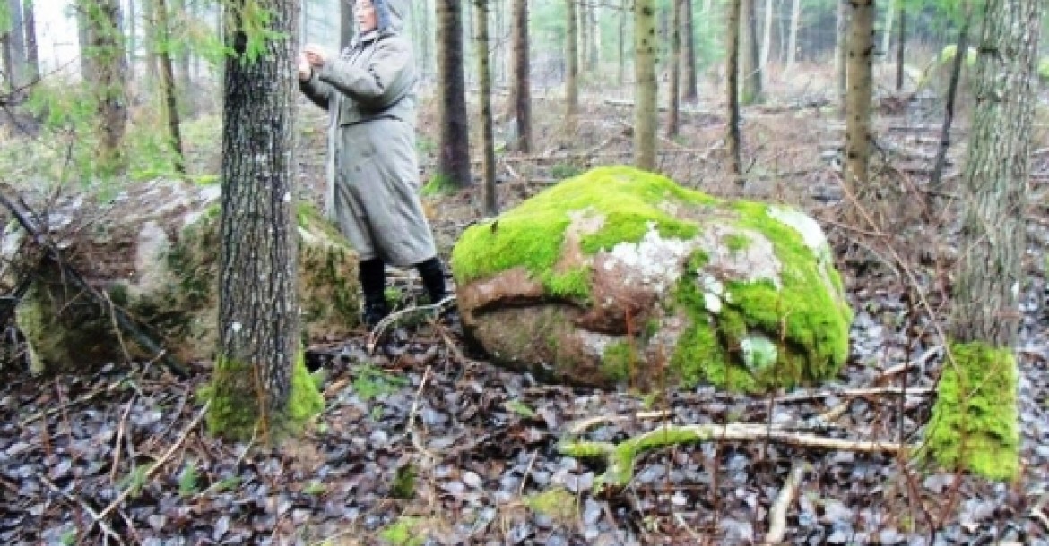  miško akmenynas